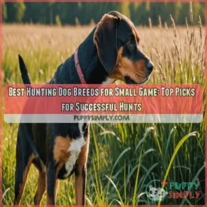 Best hunting dog breeds for small game