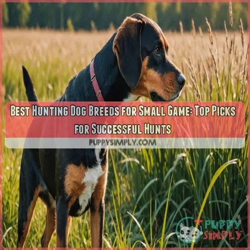 Best hunting dog breeds for small game