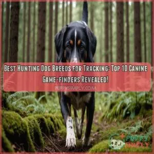 Best hunting dog breeds for tracking