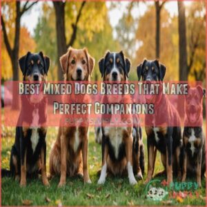 best mixed dogs breeds