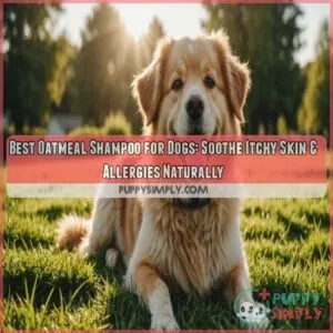 best oatmeal shampoo for dogs