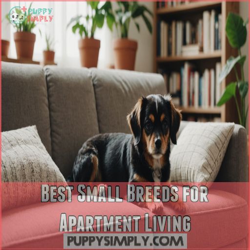 Best Small Breeds for Apartment Living