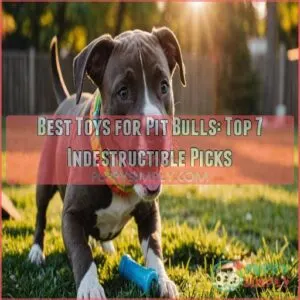 best toys for pit bulls