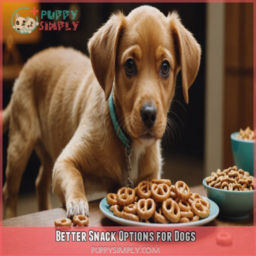 Better Snack Options for Dogs