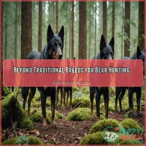 Beyond Traditional Breeds for Bear Hunting