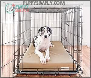Big Barker Orthopedic 4 Dog B00DP5W9PG