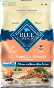 Blue Buffalo Life Protection Formula