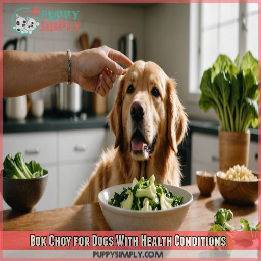 Bok Choy for Dogs With Health Conditions