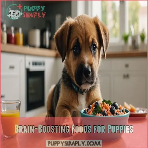 Brain-Boosting Foods for Puppies