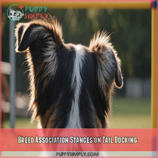 Breed Association Stances on Tail Docking