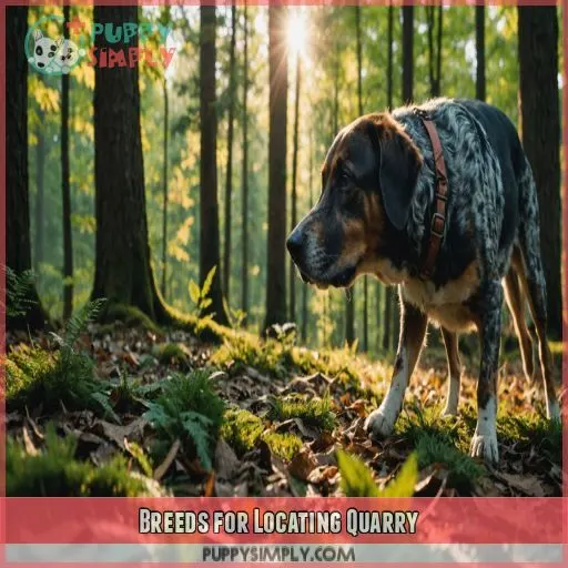 Breeds for Locating Quarry