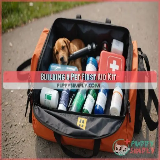 Building a Pet First Aid Kit