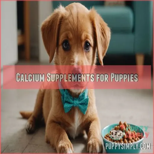 Calcium Supplements for Puppies