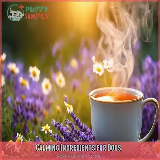 Calming Ingredients for Dogs