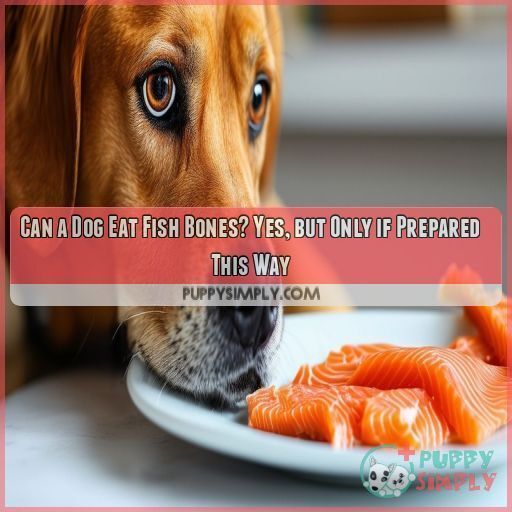 can a dog eat fish bones can a dog eat fish bones