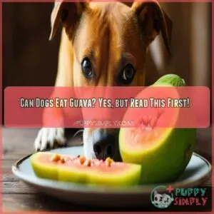 can a dog eat guava