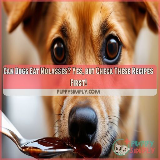Can Dogs Eat Molasses? Yes, but Check These Recipes First!