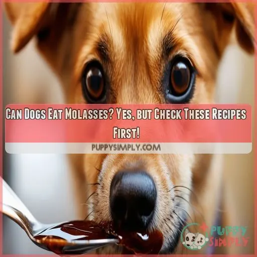 can a dog eat molasses