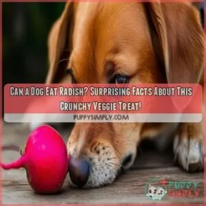 can a dog eat radish