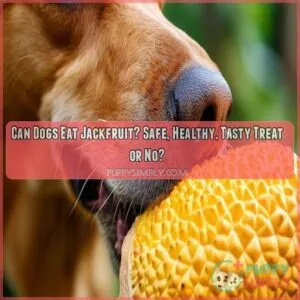 can dog eat jackfruit