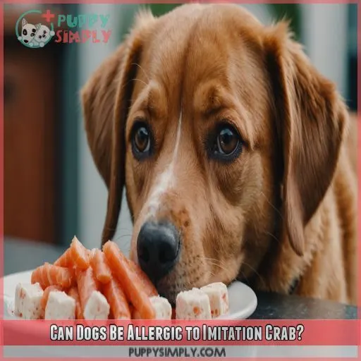 Can Dogs Be Allergic to Imitation Crab