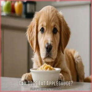 Can Dogs Eat Applesauce