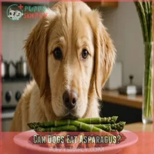 Can Dogs Eat Asparagus