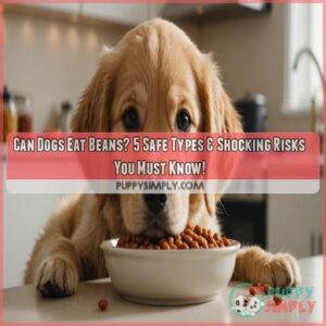 can dogs eat beans