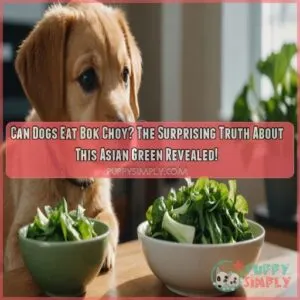 Can Dogs Eat Bok Choy