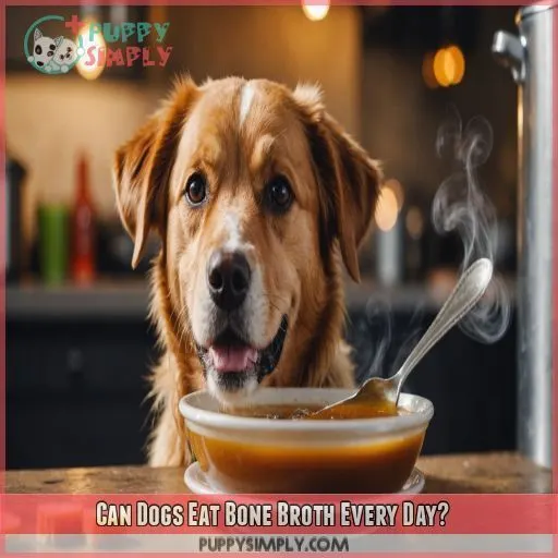 Can Dogs Eat Bone Broth Every Day