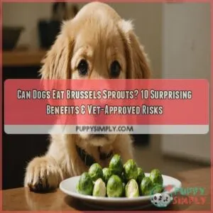 can dogs eat brussel sprouts