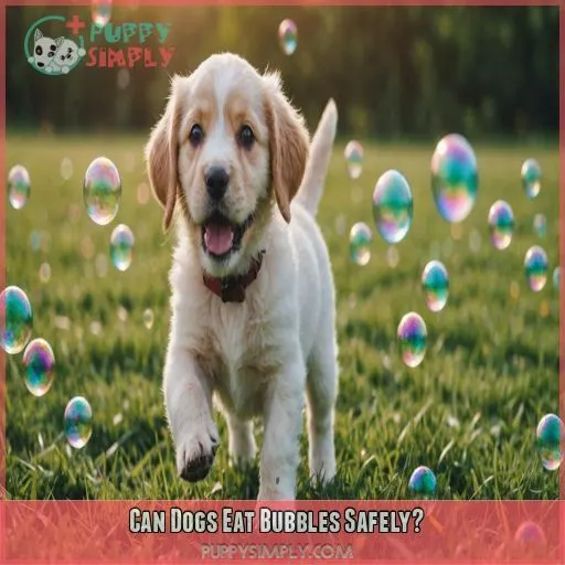 Can Dogs Eat Bubbles Safely