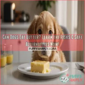 can dogs eat butter