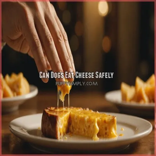 Can Dogs Eat Cheese Safely