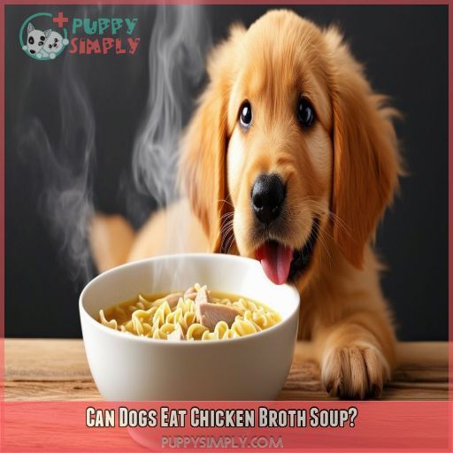 Can Dogs Eat Chicken Broth Soup