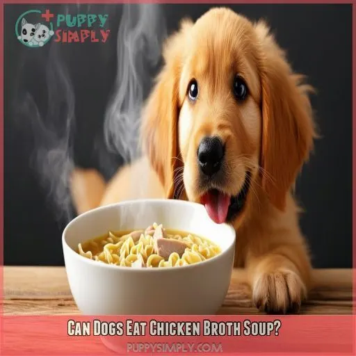 Can Dogs Eat Chicken Broth Soup