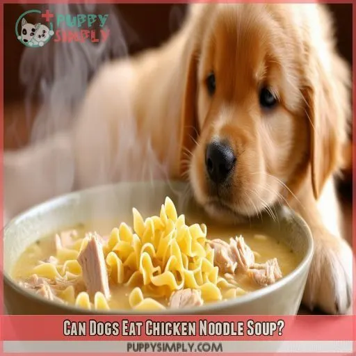 Can Dogs Eat Chicken Noodle Soup