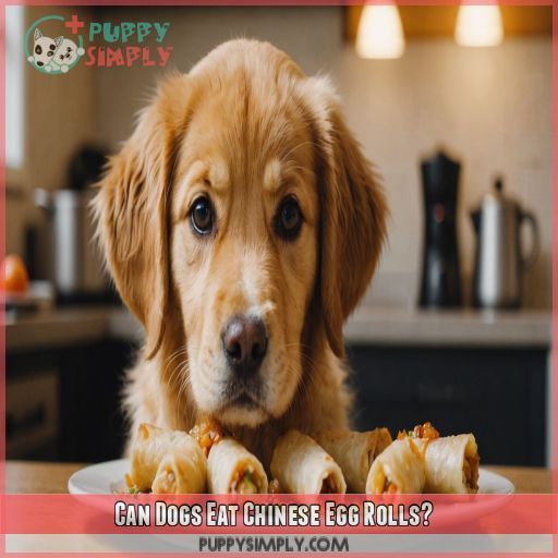 Can Dogs Eat Chinese Egg Rolls