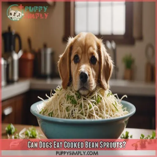 Can Dogs Eat Cooked Bean Sprouts