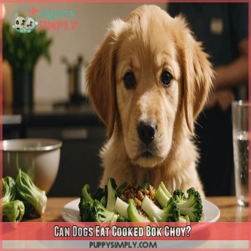 Can Dogs Eat Cooked Bok Choy