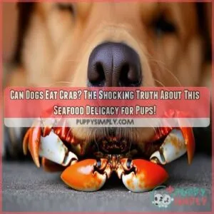 can dogs eat crab