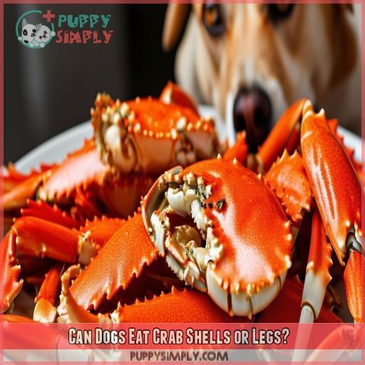 Can Dogs Eat Crab Shells or Legs