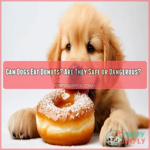 can dogs eat donuts