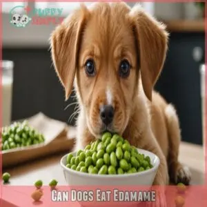 Can Dogs Eat Edamame