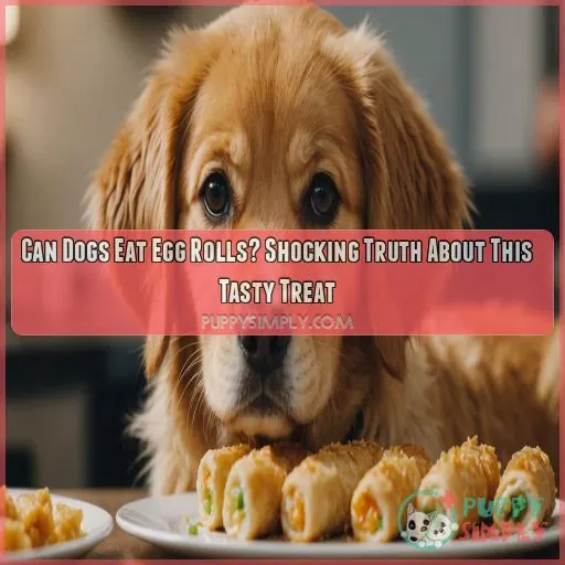 Can Dogs Eat Egg Rolls