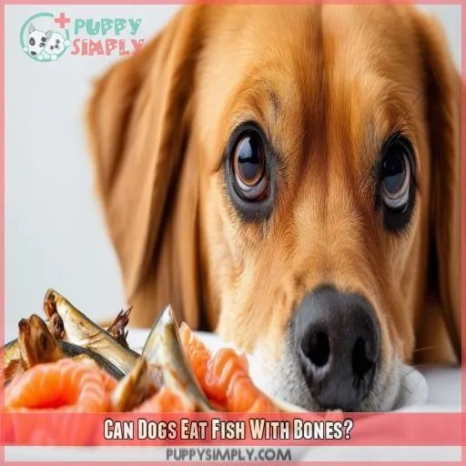 Can Dogs Eat Fish With Bones