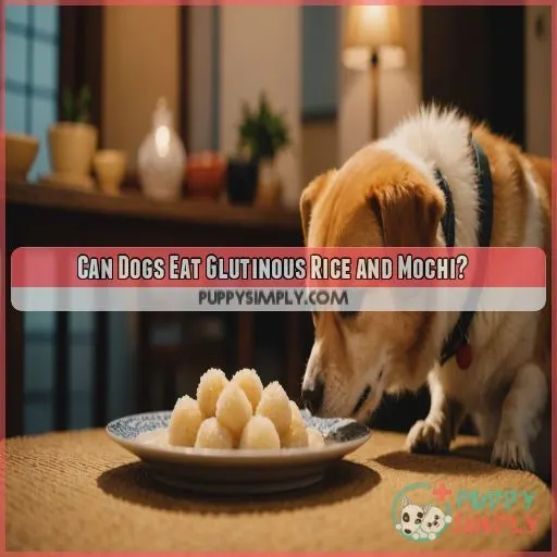 Can Dogs Eat Glutinous Rice and Mochi