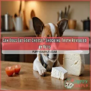 Can Dogs Eat Goat Cheese