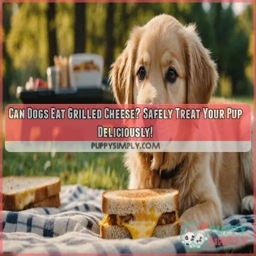 can dogs eat grilled cheese