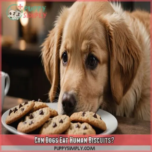 Can Dogs Eat Human Biscuits